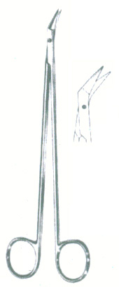 HSC-02-527