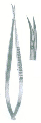 HSC-02-803