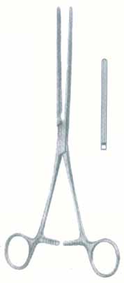 HSC-03-1031