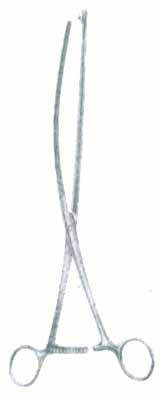 HSC-03-1081