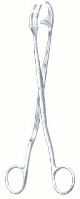 HSC-03-1319