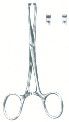 HSC-03-225