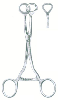 HSC-03-229
