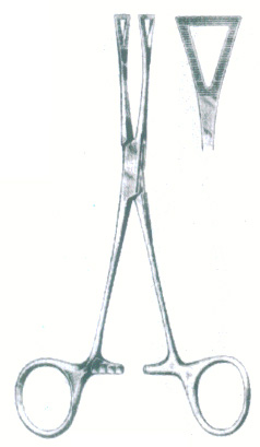 HSC-03-239