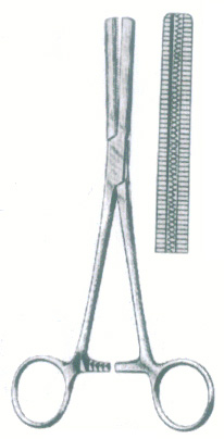 HSC-03-251