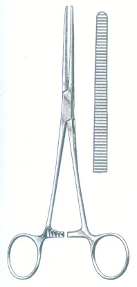 HSC-03-313