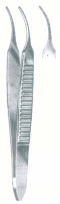 HSC-04-449