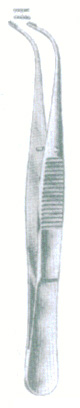 HSC-04-575