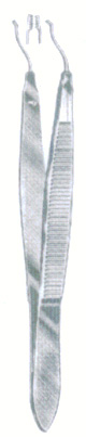 HSC-04-597