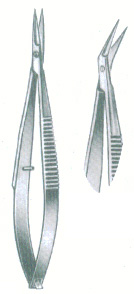 HSC-07-013