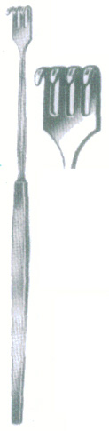 HSC-09-029