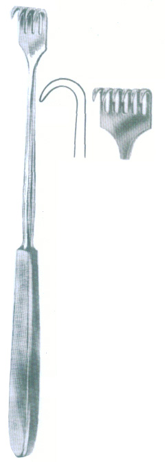 HSC-09-065