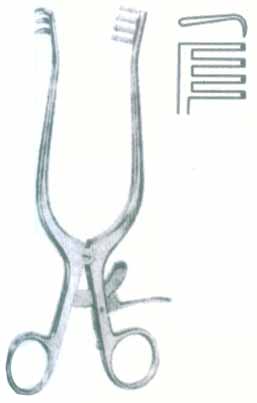 HSC-09-1019