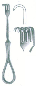 HSC-09-121