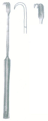 HSC-09-365