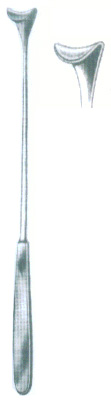 HSC-09-519