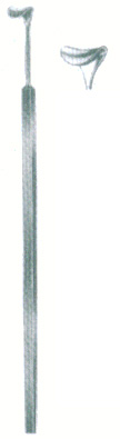 HSC-09-541
