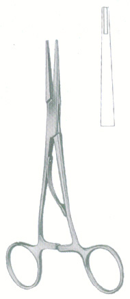 HSC-13-037