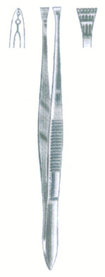 HSC-19-313
