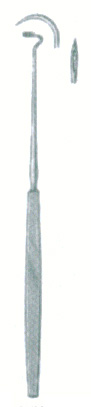 HSC-21-019